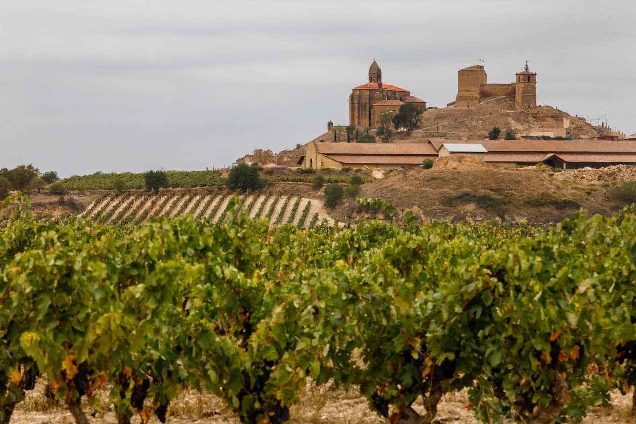 Clípeo Wines
