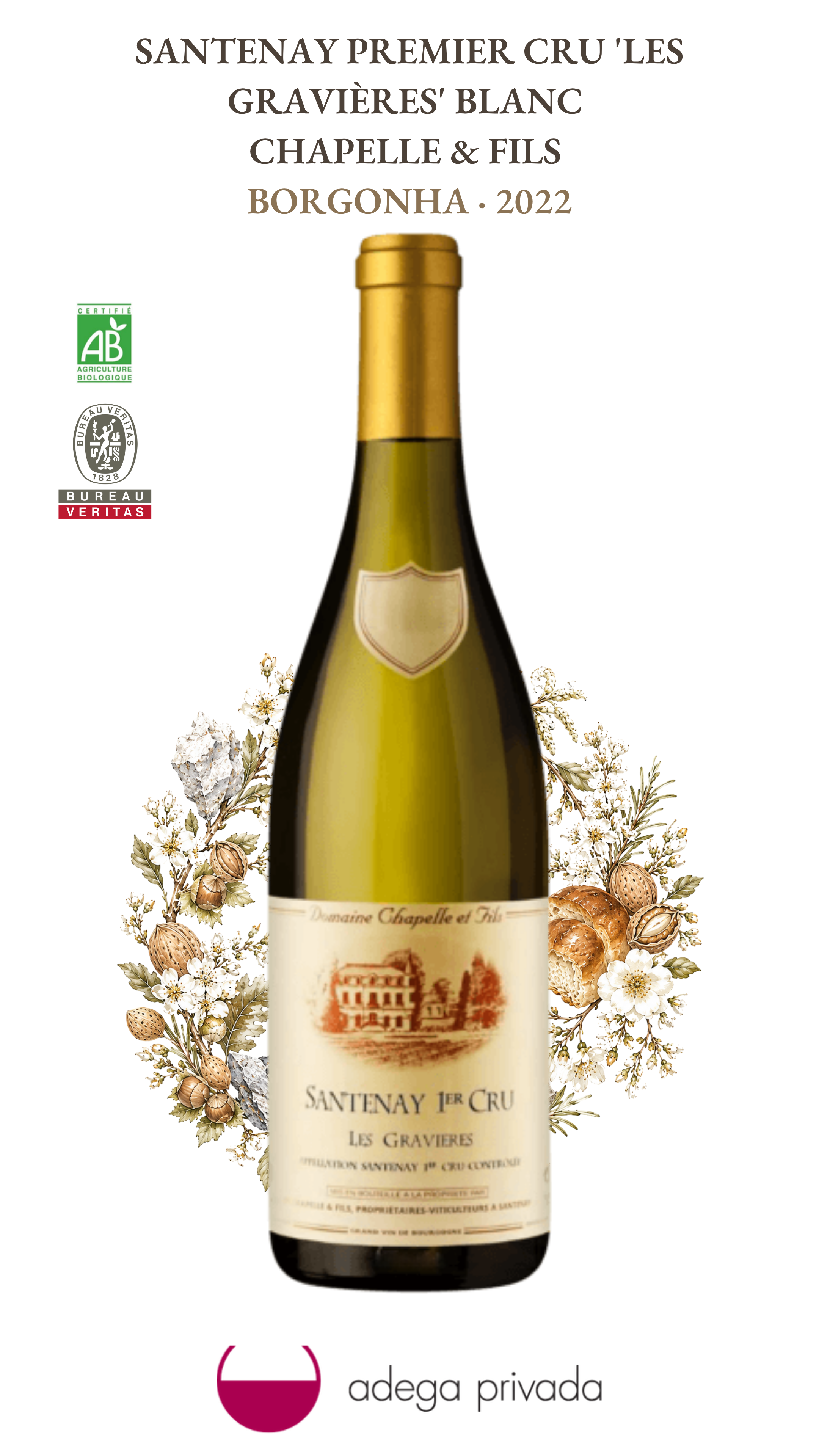 Santenay 1er Cru 'Les Gravières'  — foto 2