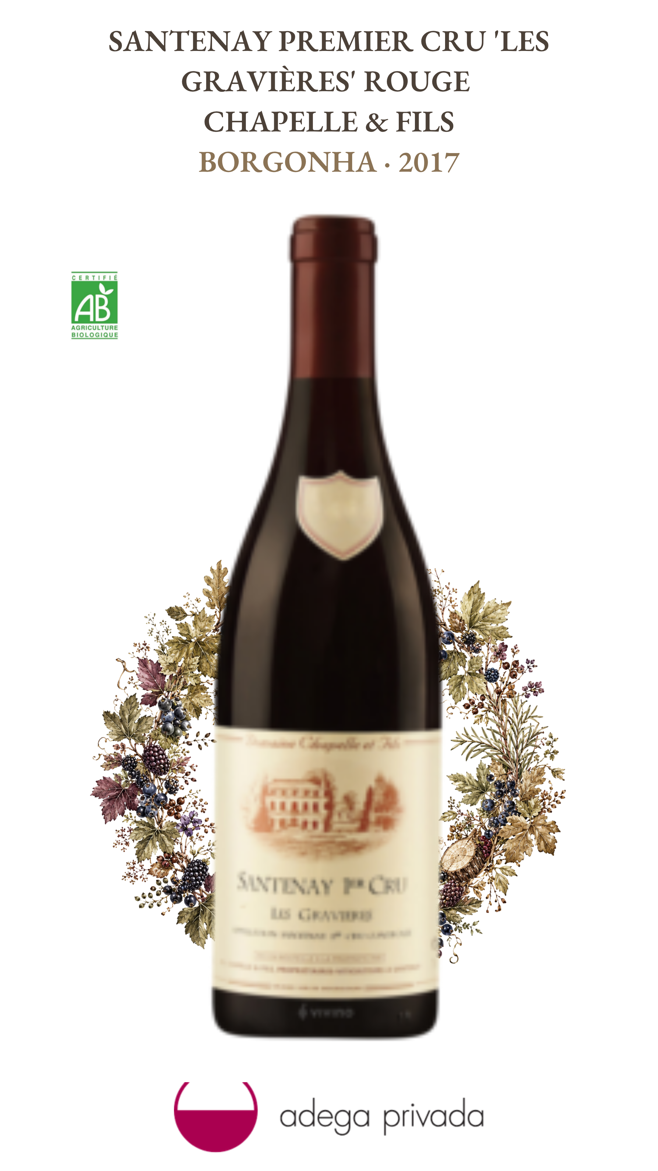 Santenay 1er Cru 'Les Gravières' 2022 — foto 2
