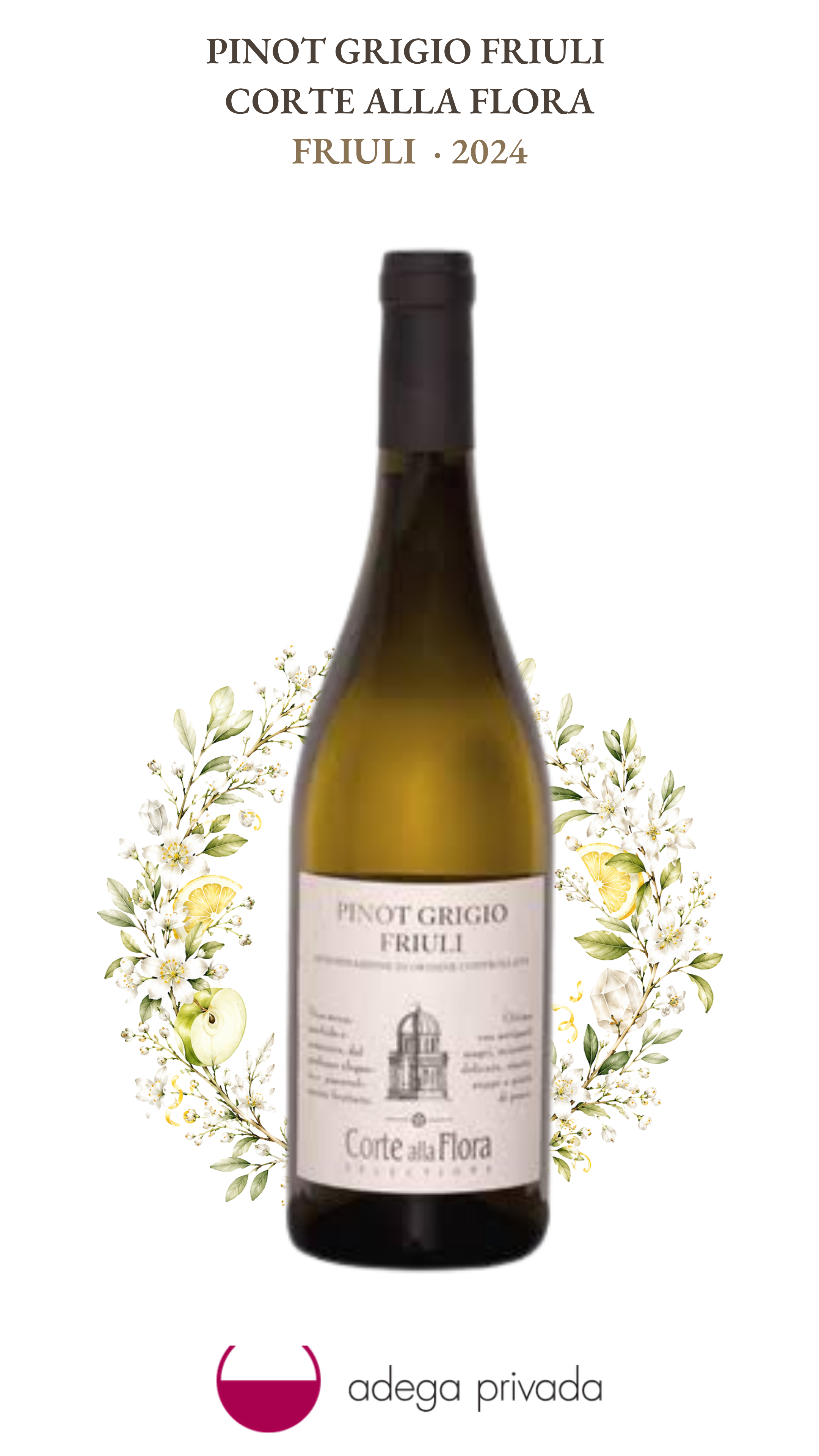 Pinot Grigio Friuli-Venezia Giulia — foto 2