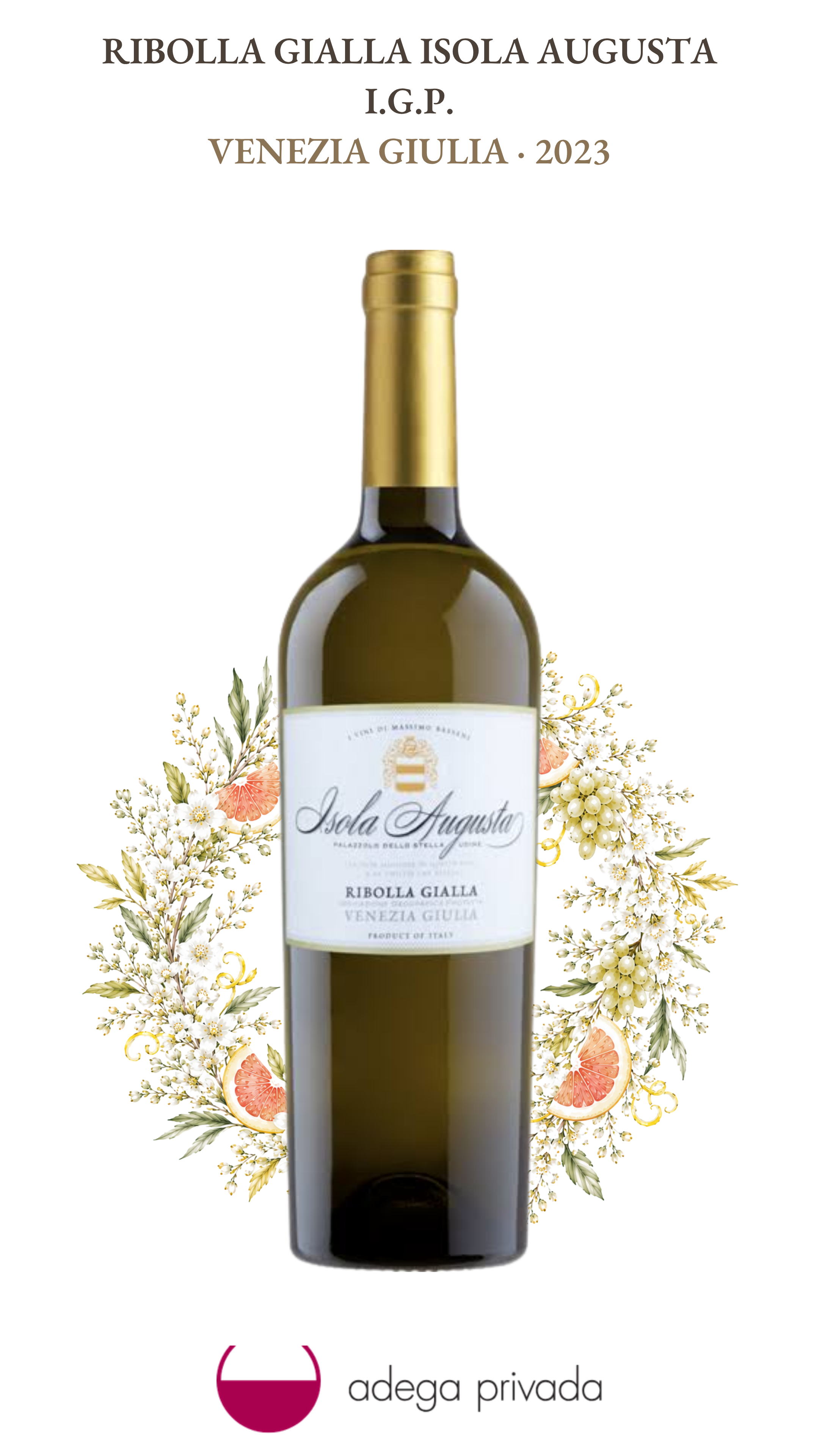 Ribolla Gialla Friuli D.O.C — foto 2