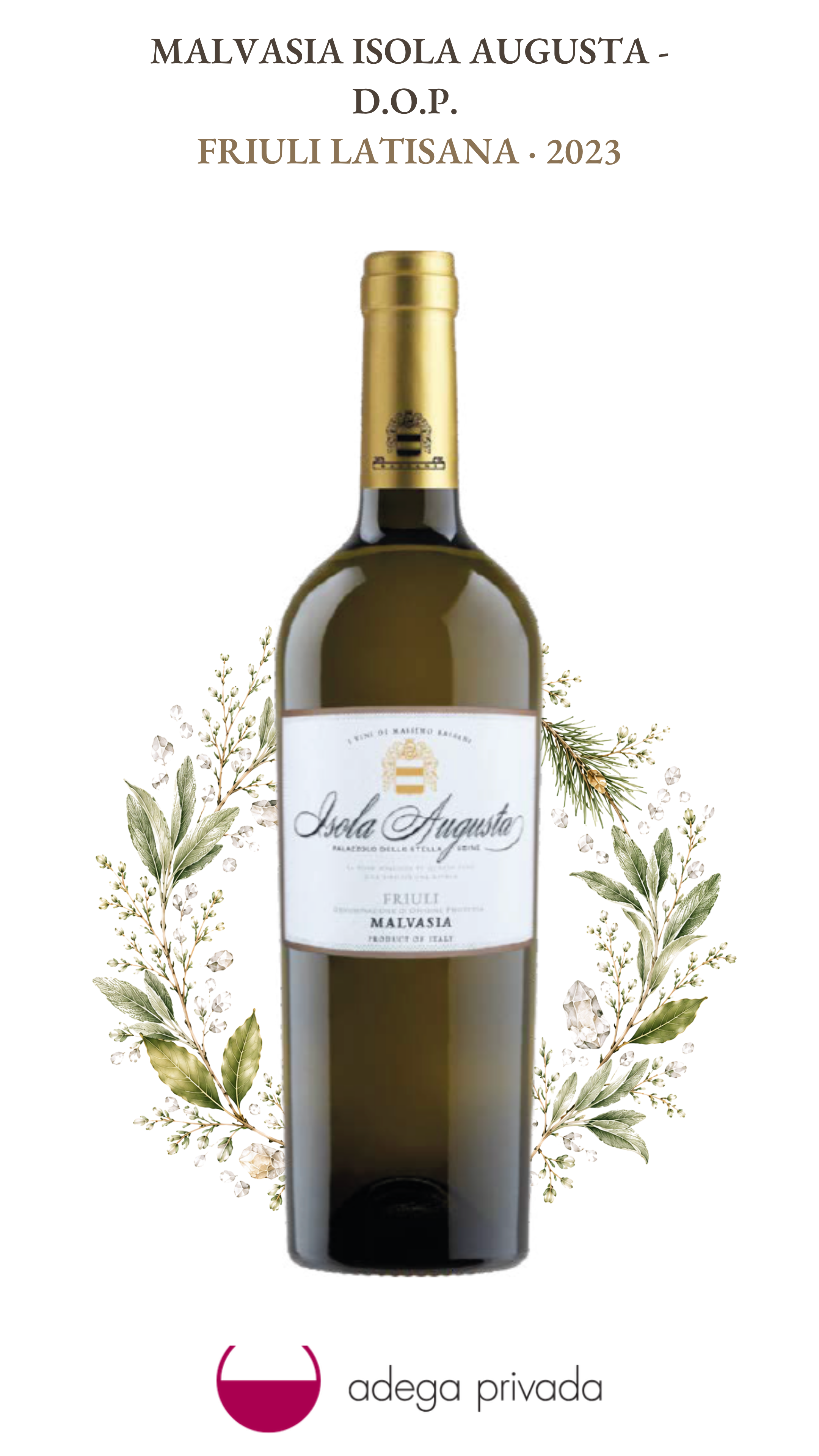 Malvasia Friuli D.O.C — foto 2