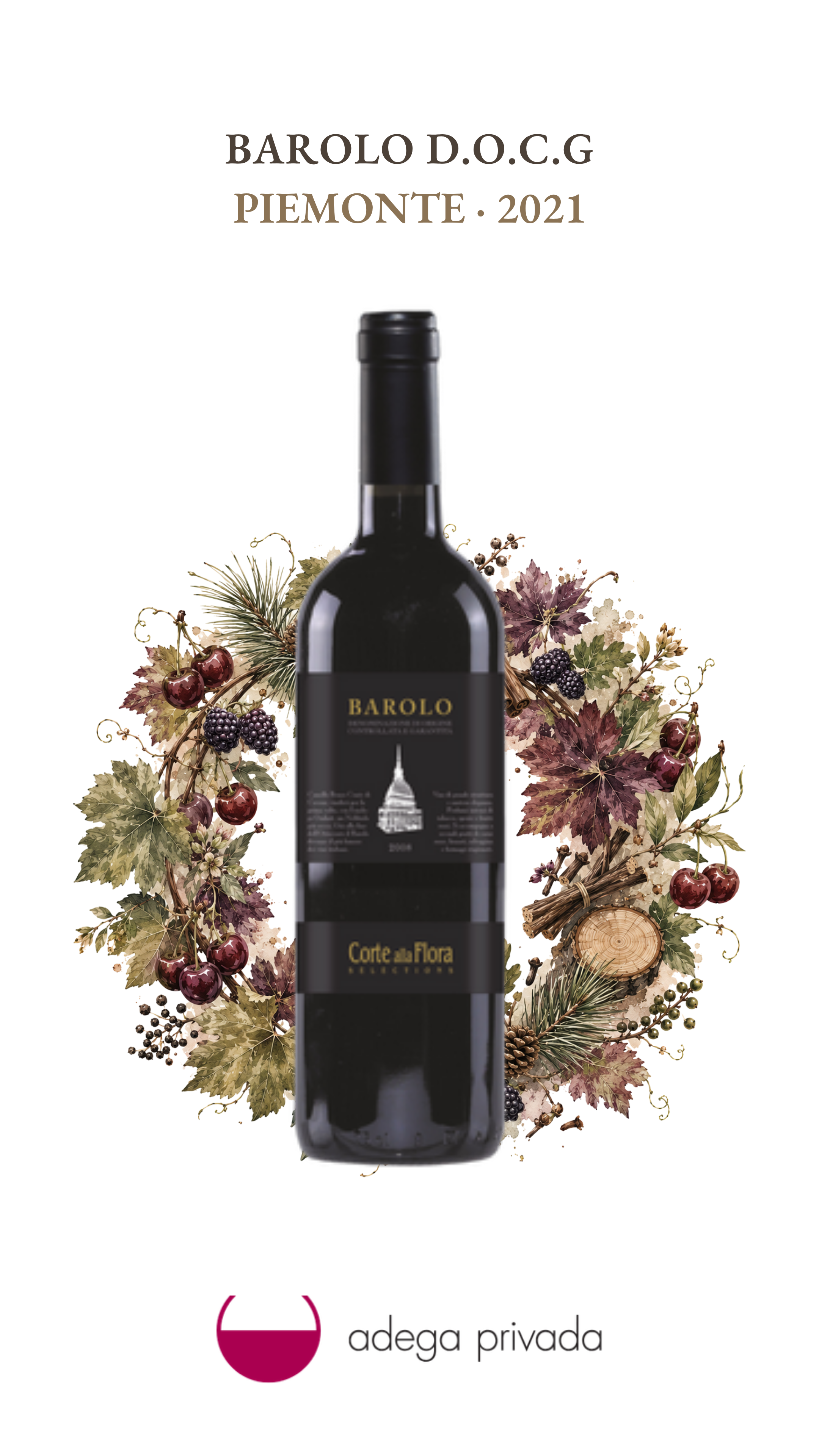 Barolo D.O.C.G — foto 2