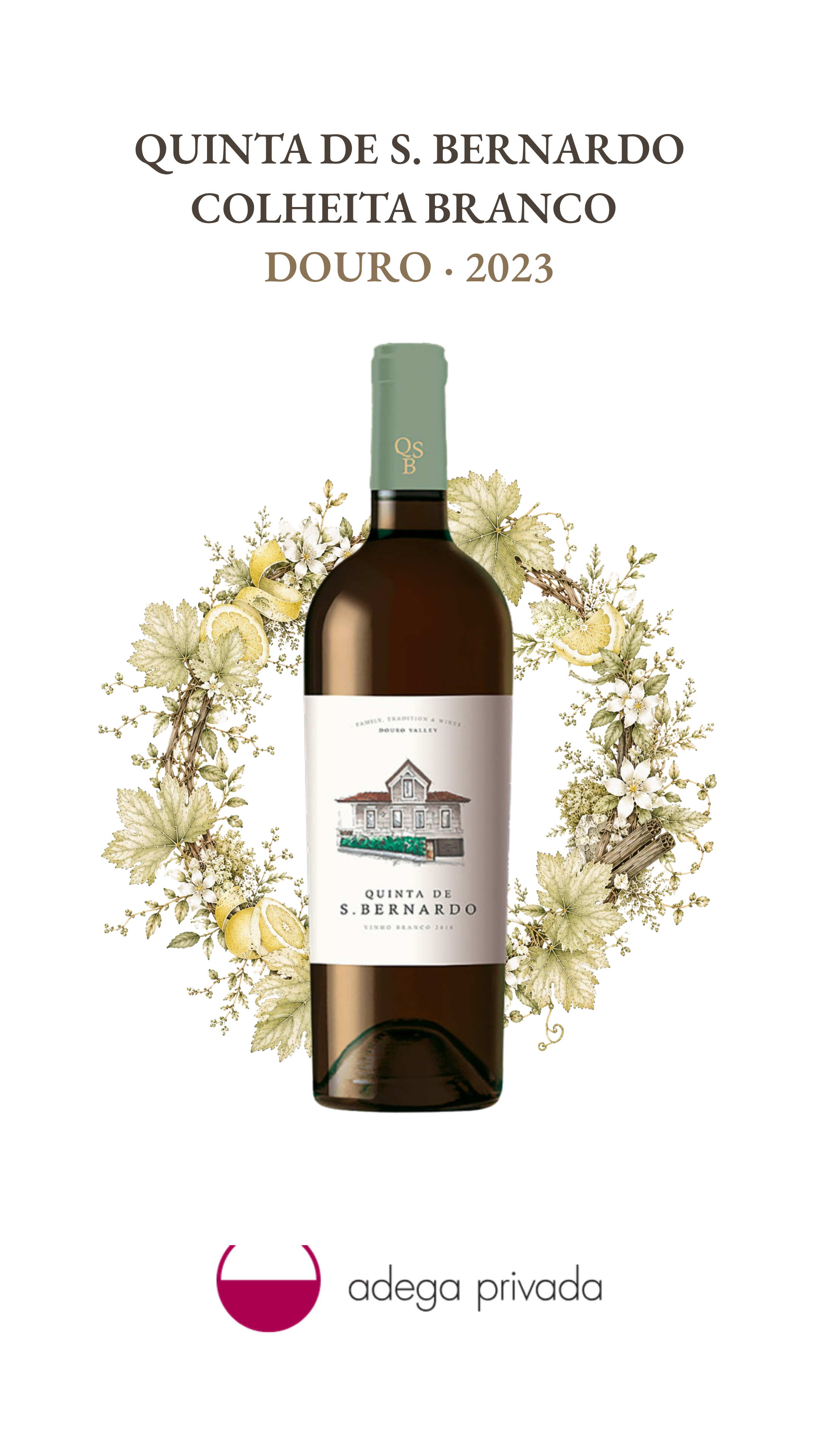 Quinta de S. Bernardo Colheita branco — foto 2