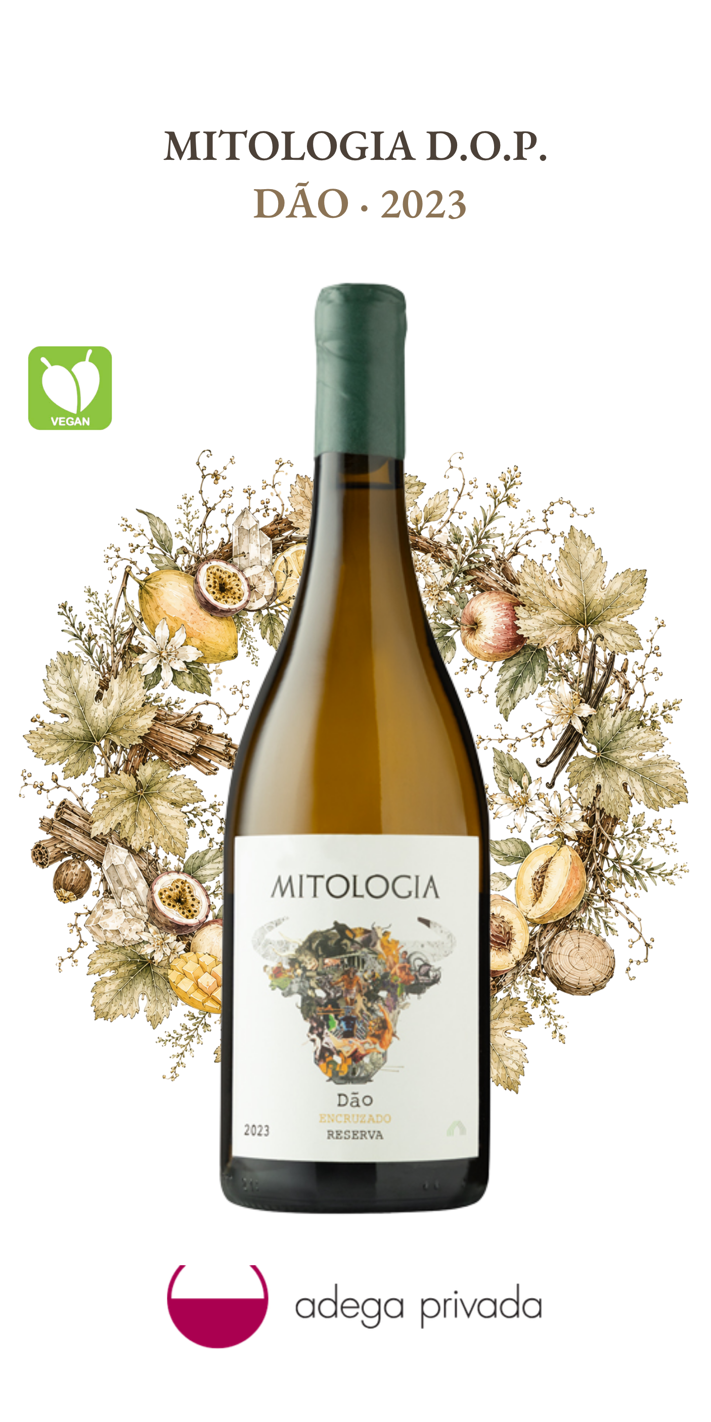 Mitologia Encruzado — foto 2