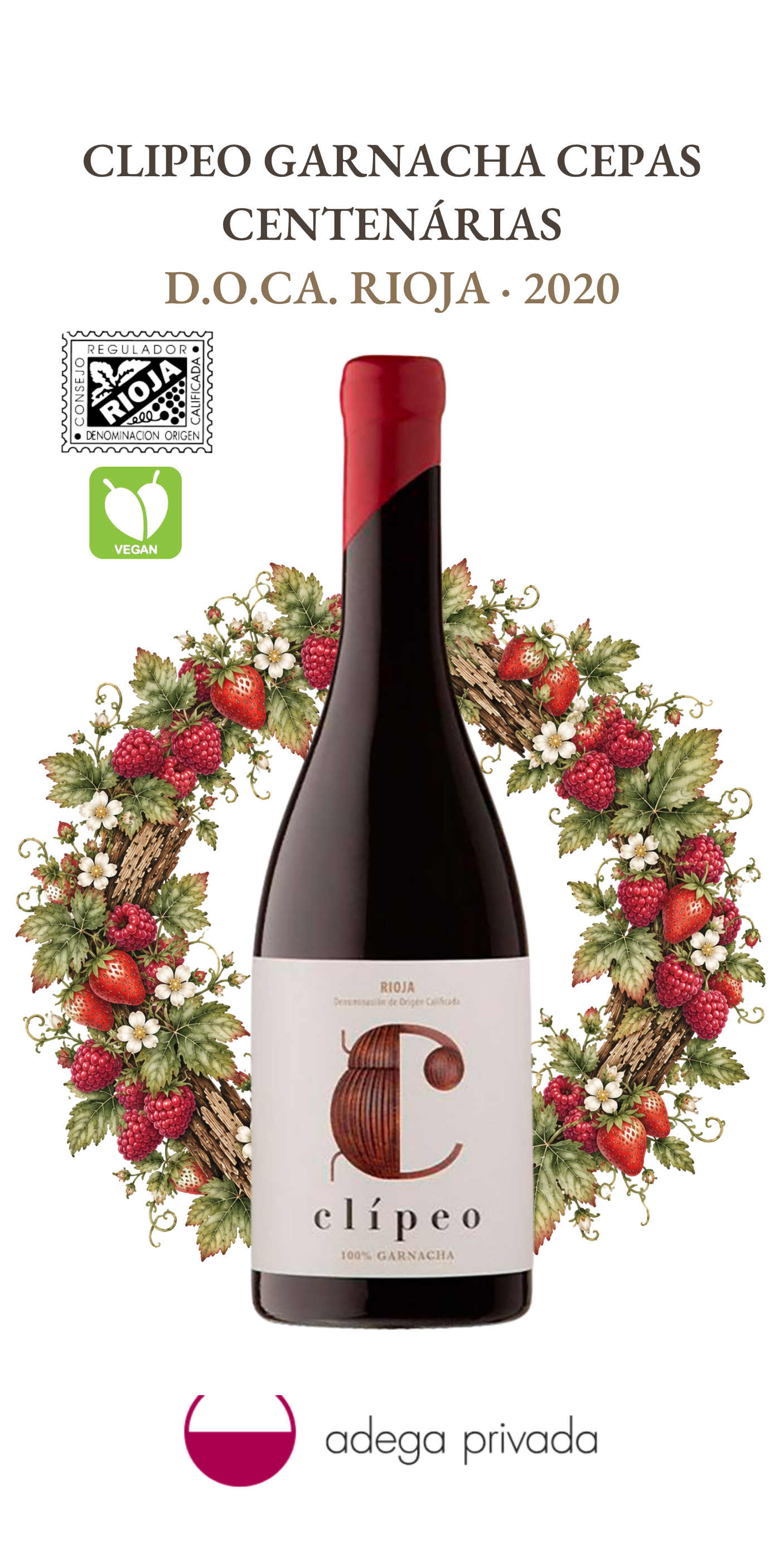Clípeo Tinto Granacha Tinto D.O.Ca — foto 2