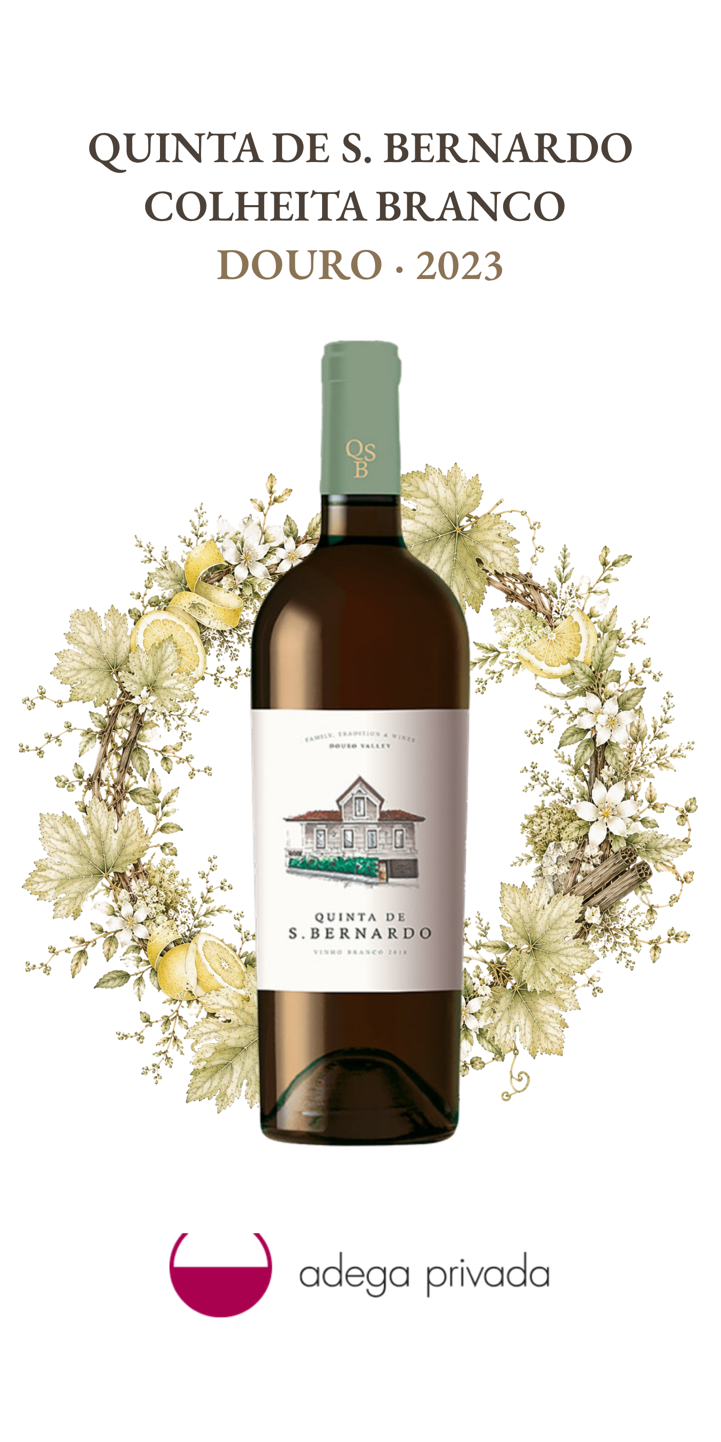 Quinta de S. Bernardo Colheita branco — foto 2