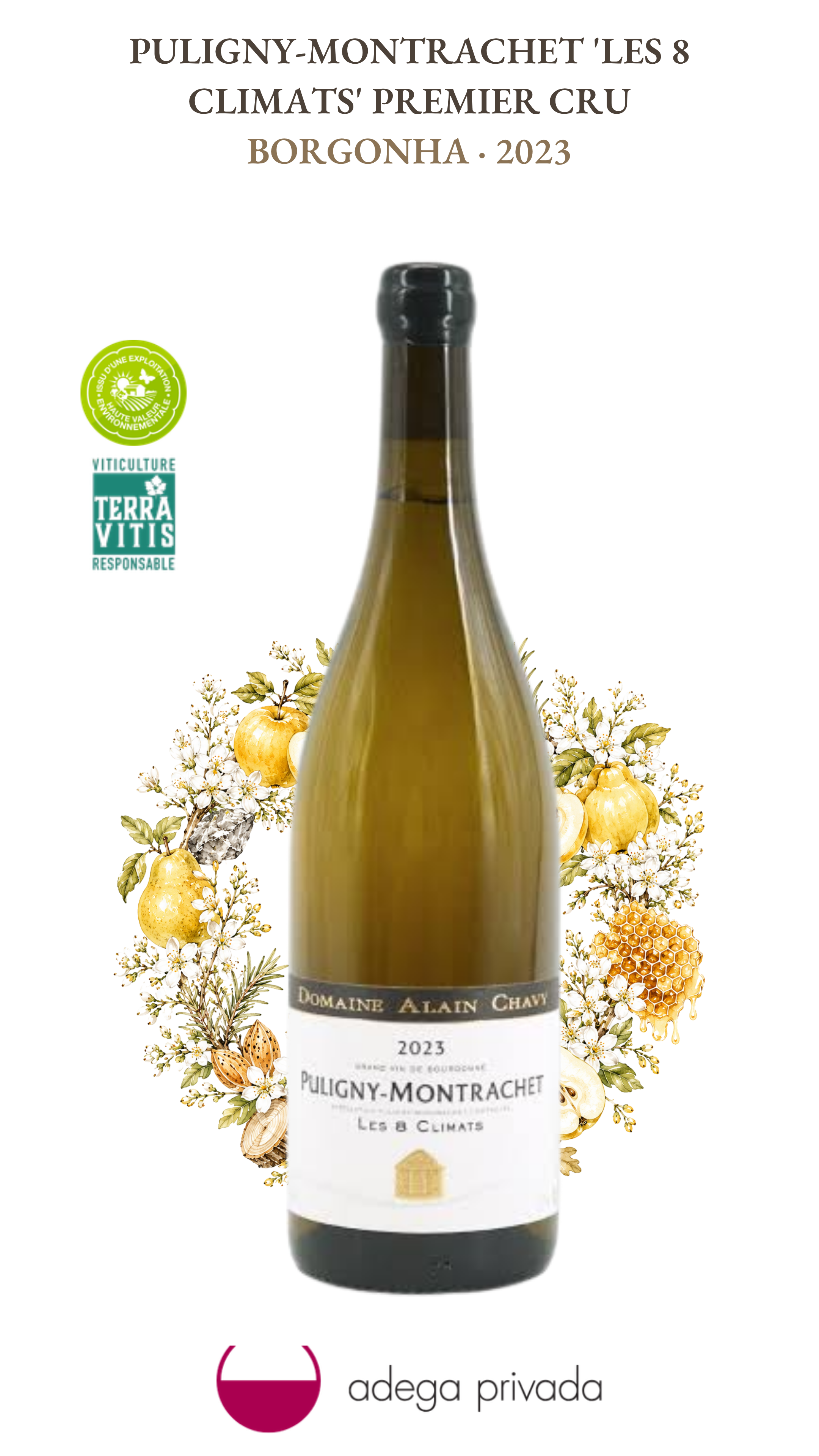 Puligny-Montrachet 1er Cru 'Les 8 Climats' — foto 2
