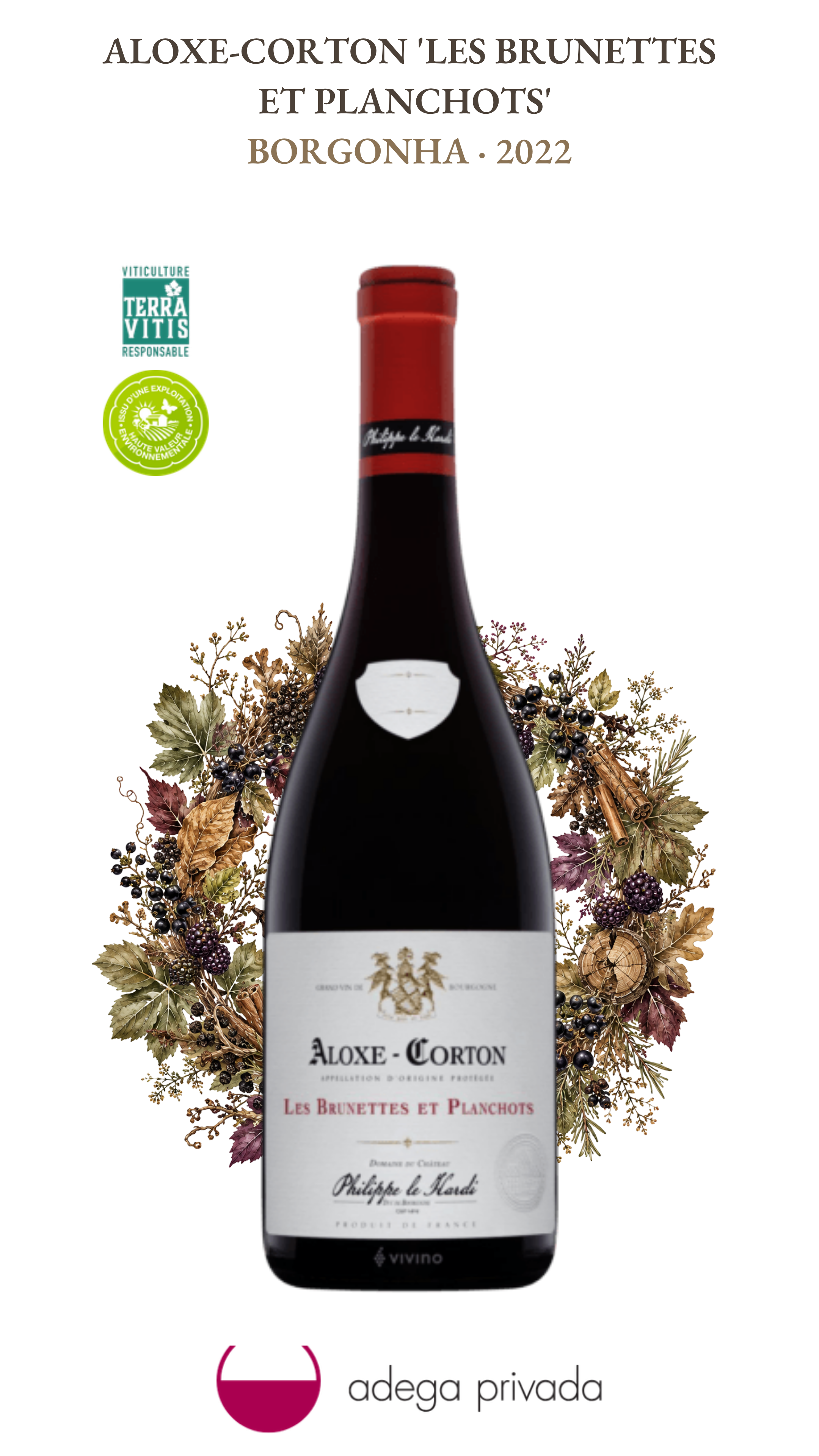 Aloxe-Corton Domaine du Château Les Brunettes et Planchots — foto 2