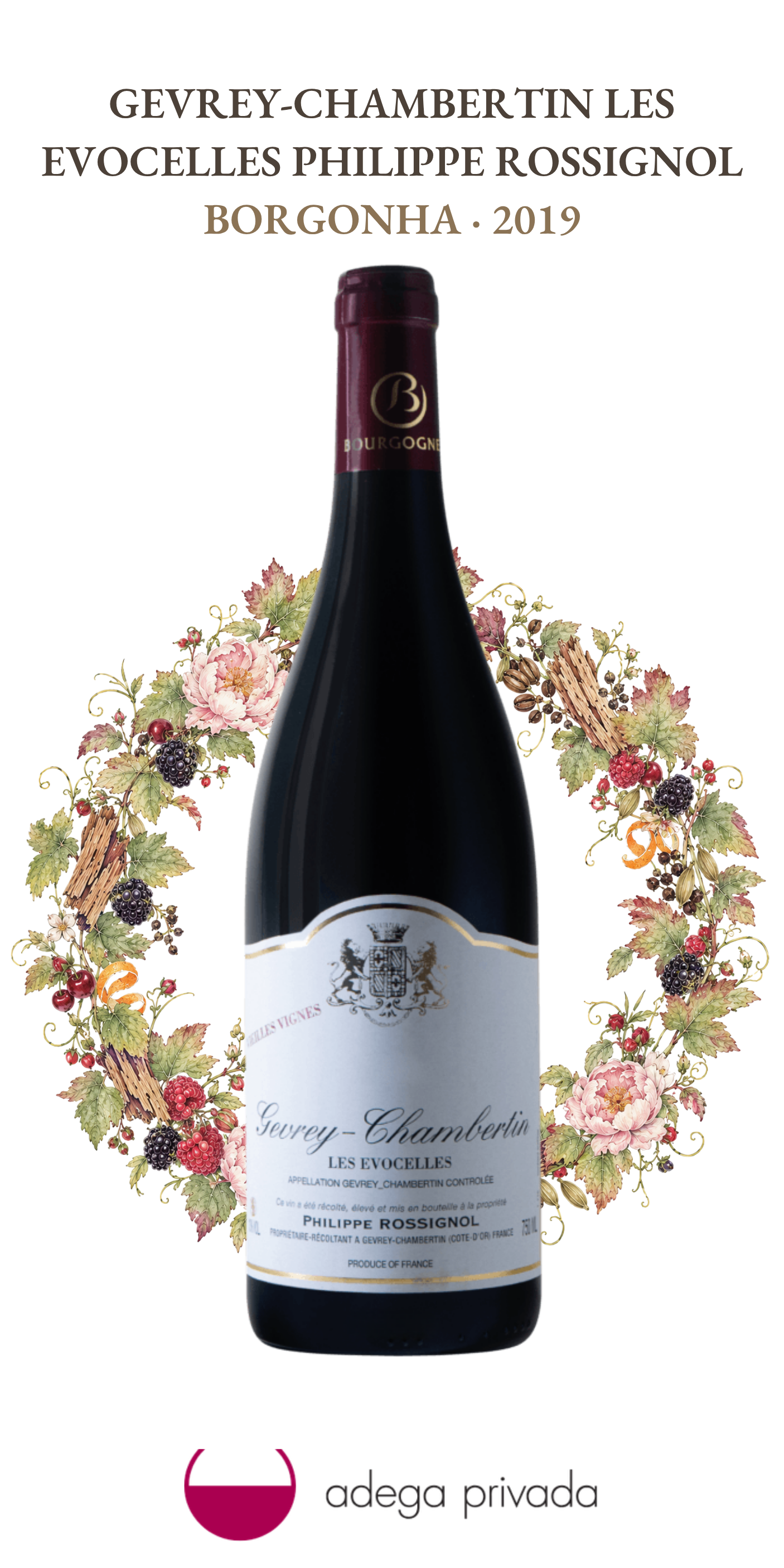 Gevrey-Chambertin 'Les Evocelles' — foto 2