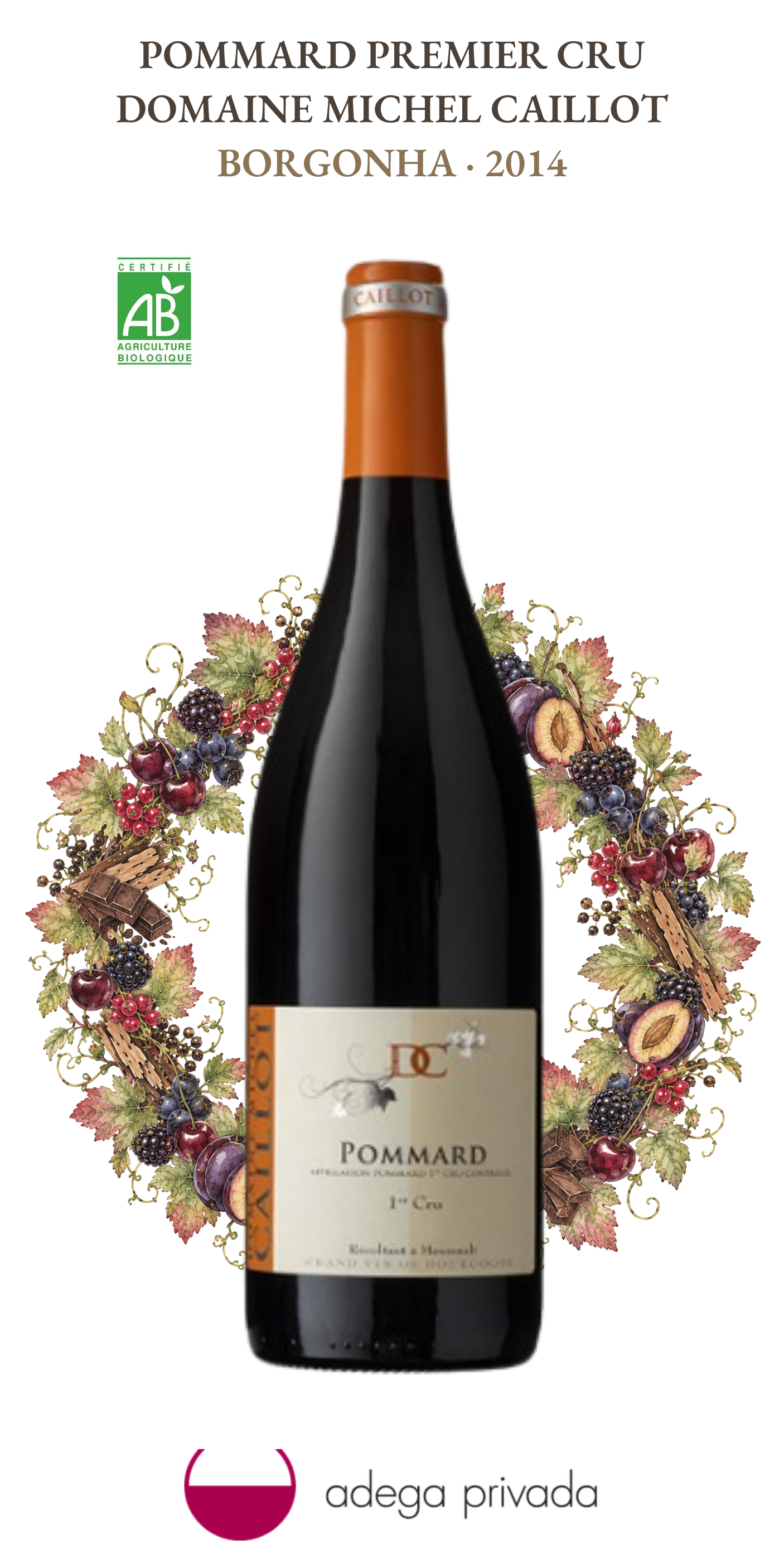 Pommard 1er cru — foto 2