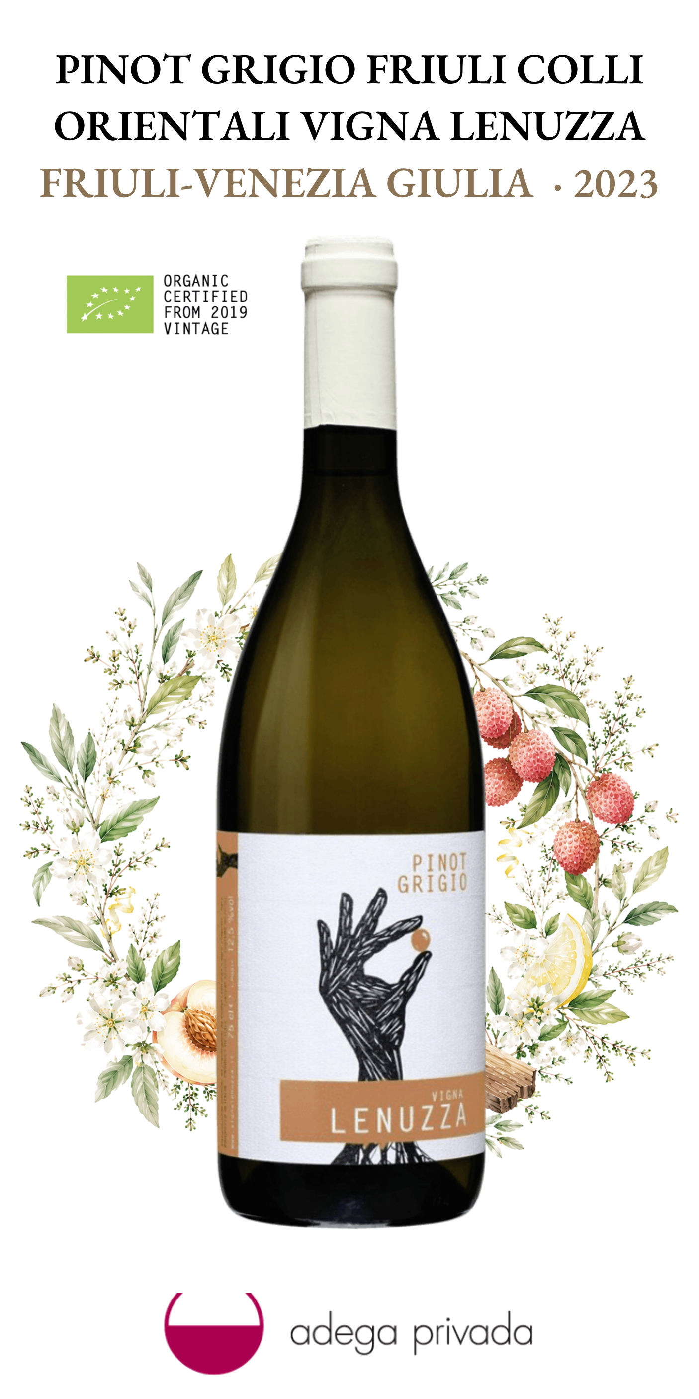 Pinot Grigio Colli Orientali del Friuli — foto 2