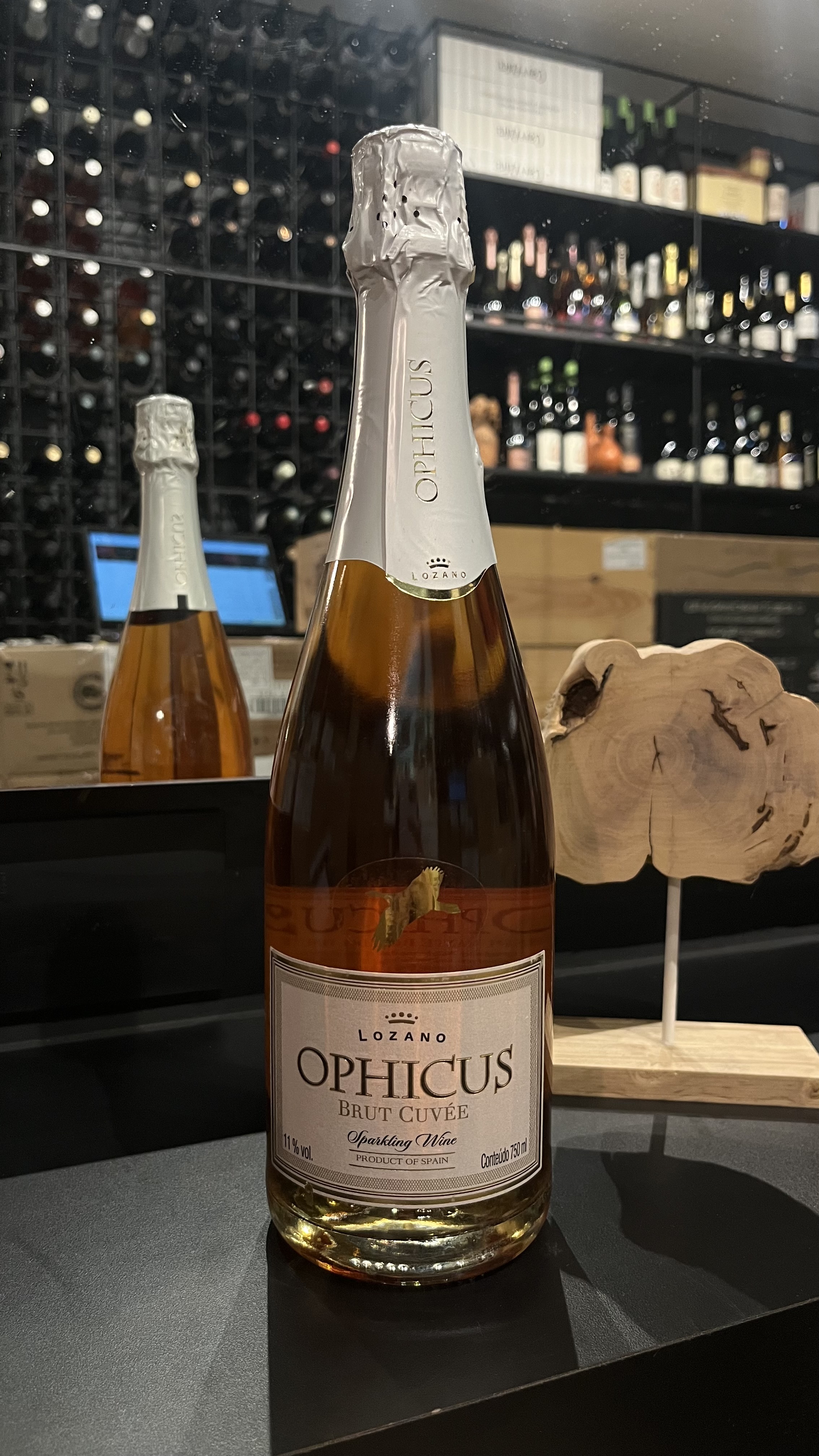 Ophicus rose