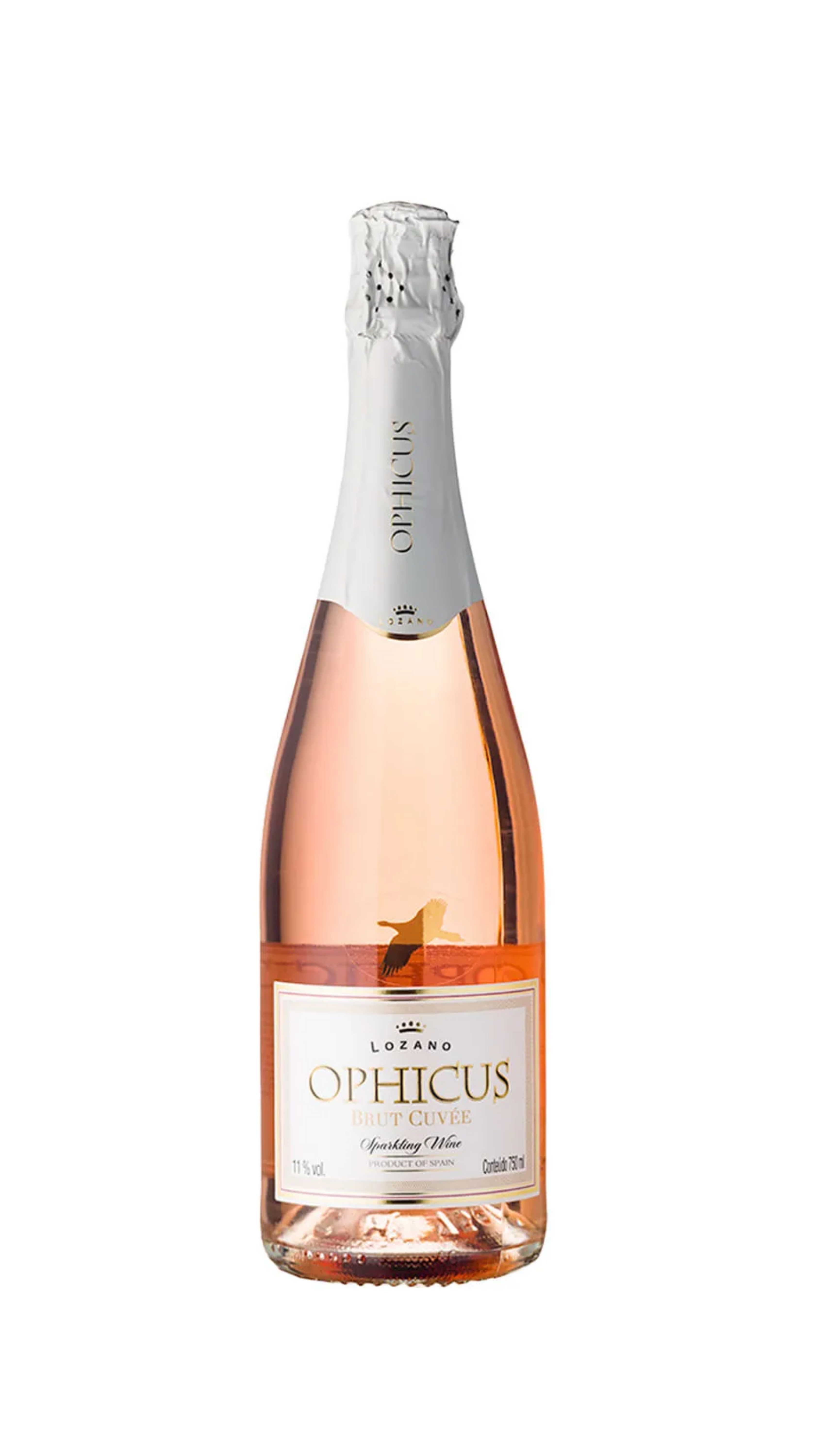 Ophicus rose